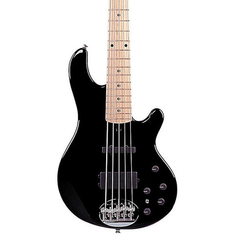 Lakland Skyline 55-02 5-String Bass