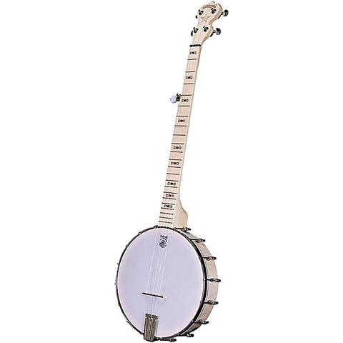 Deering Goodtime Banjo